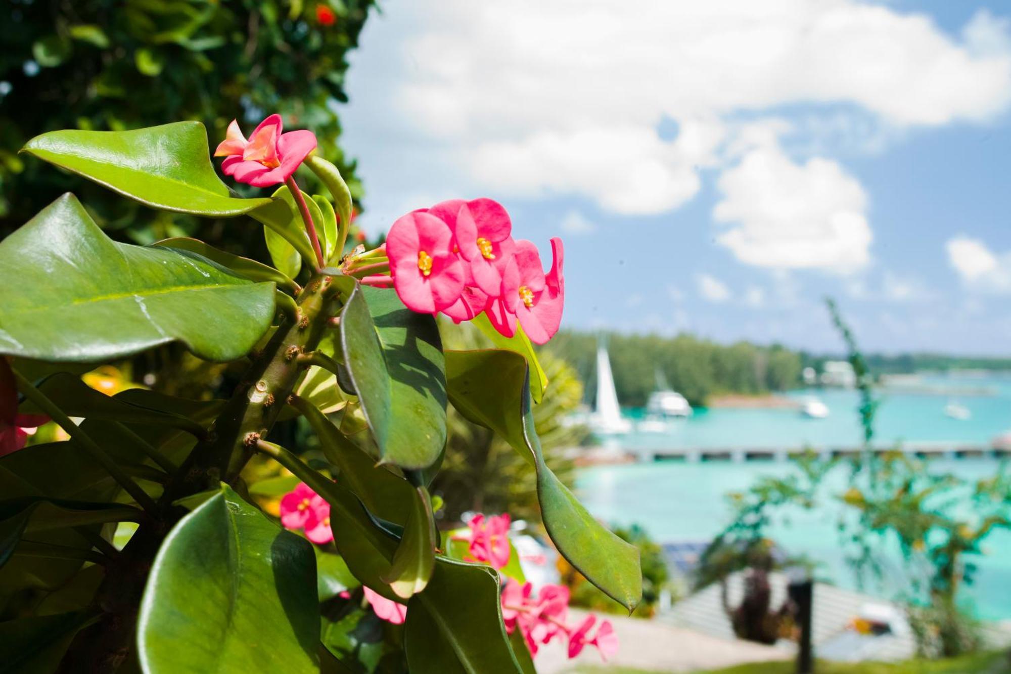 Colibri Hotel Baie Sainte Anne Bagian luar foto