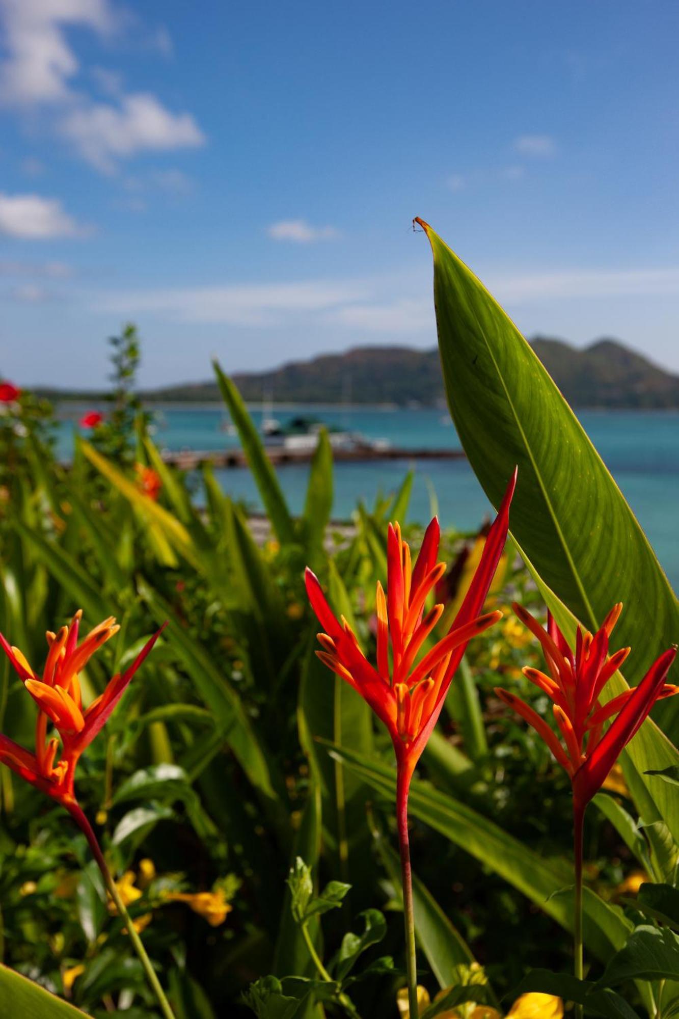 Colibri Hotel Baie Sainte Anne Bagian luar foto