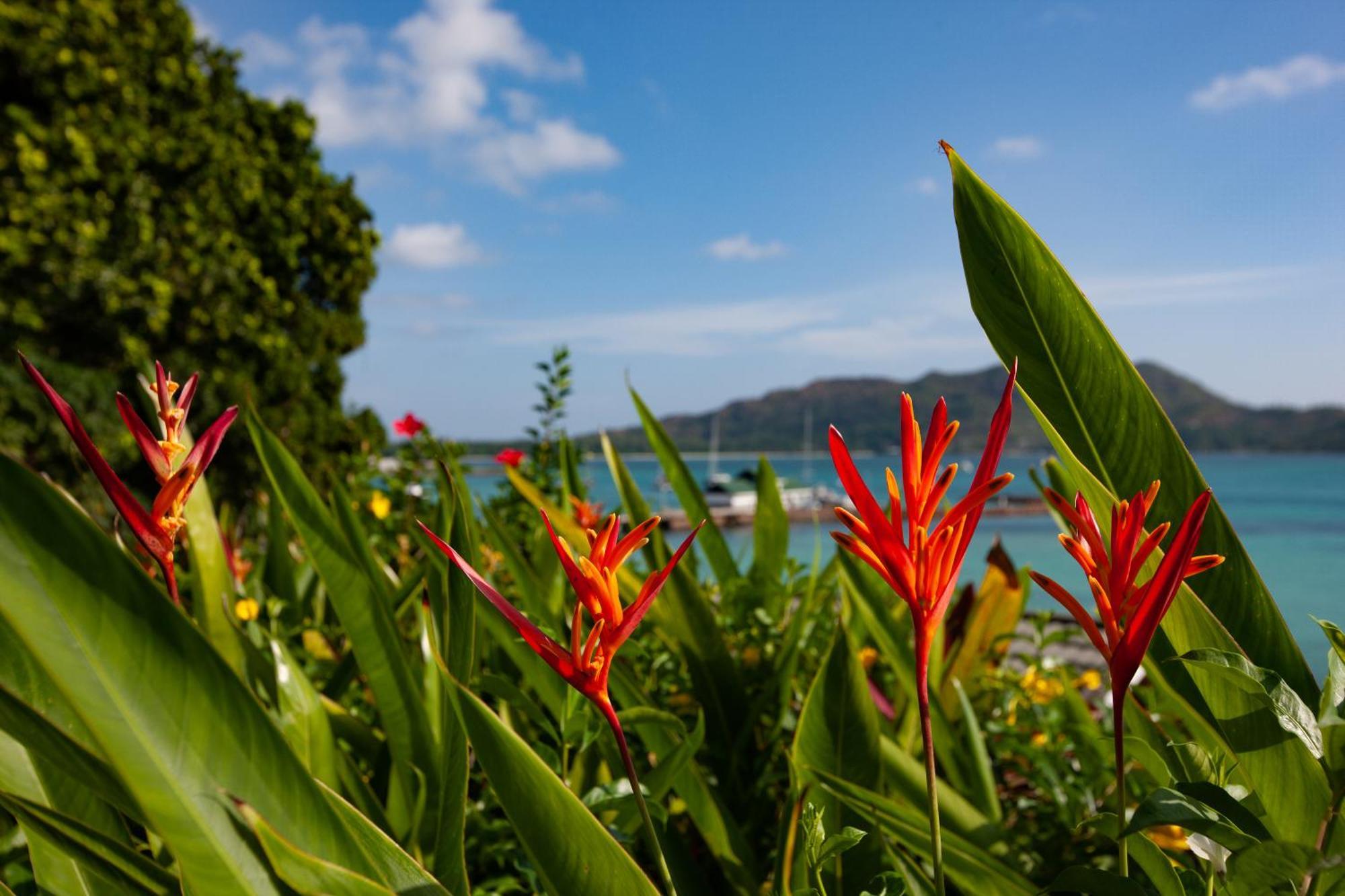 Colibri Hotel Baie Sainte Anne Bagian luar foto