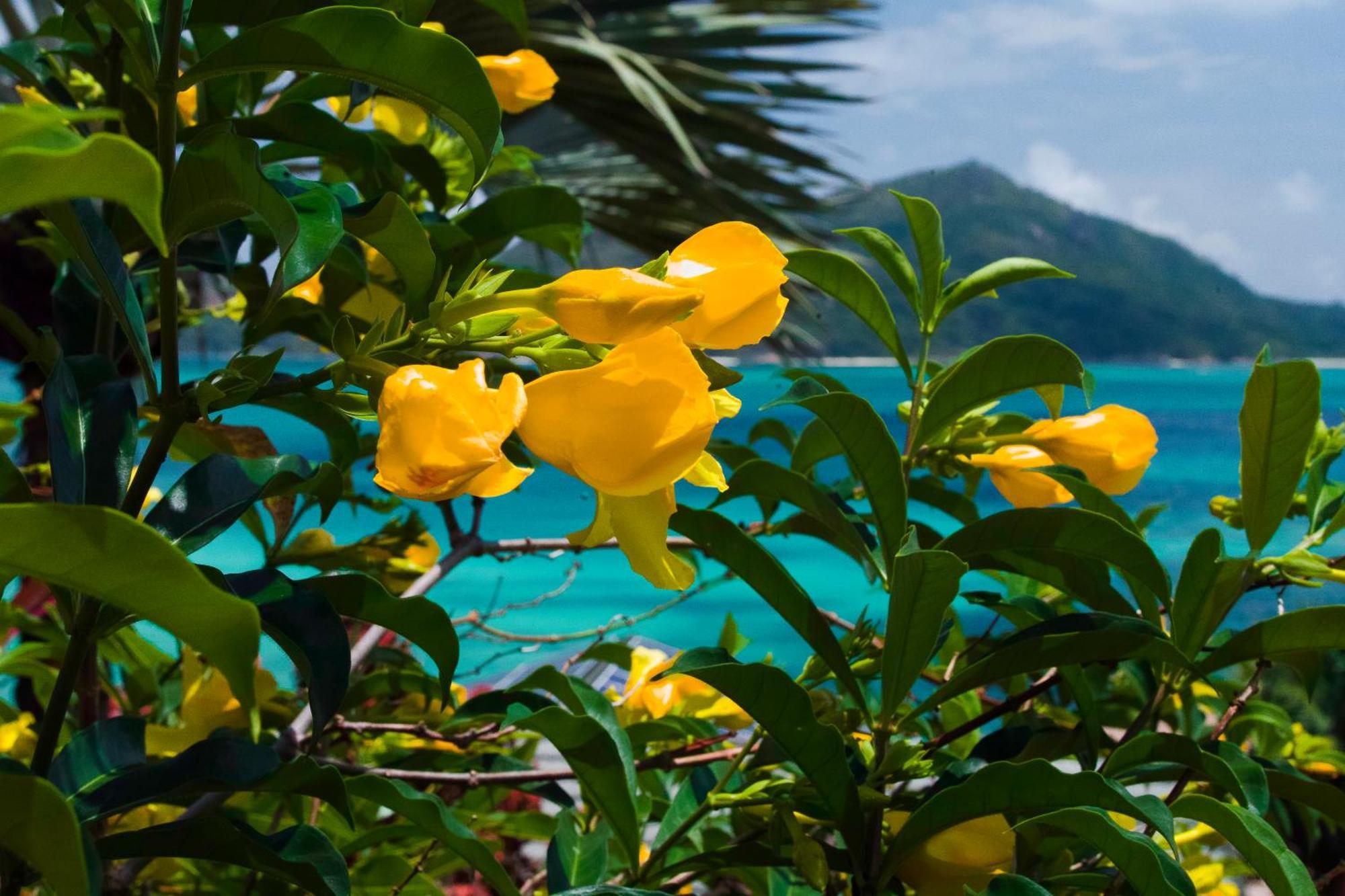 Colibri Hotel Baie Sainte Anne Bagian luar foto