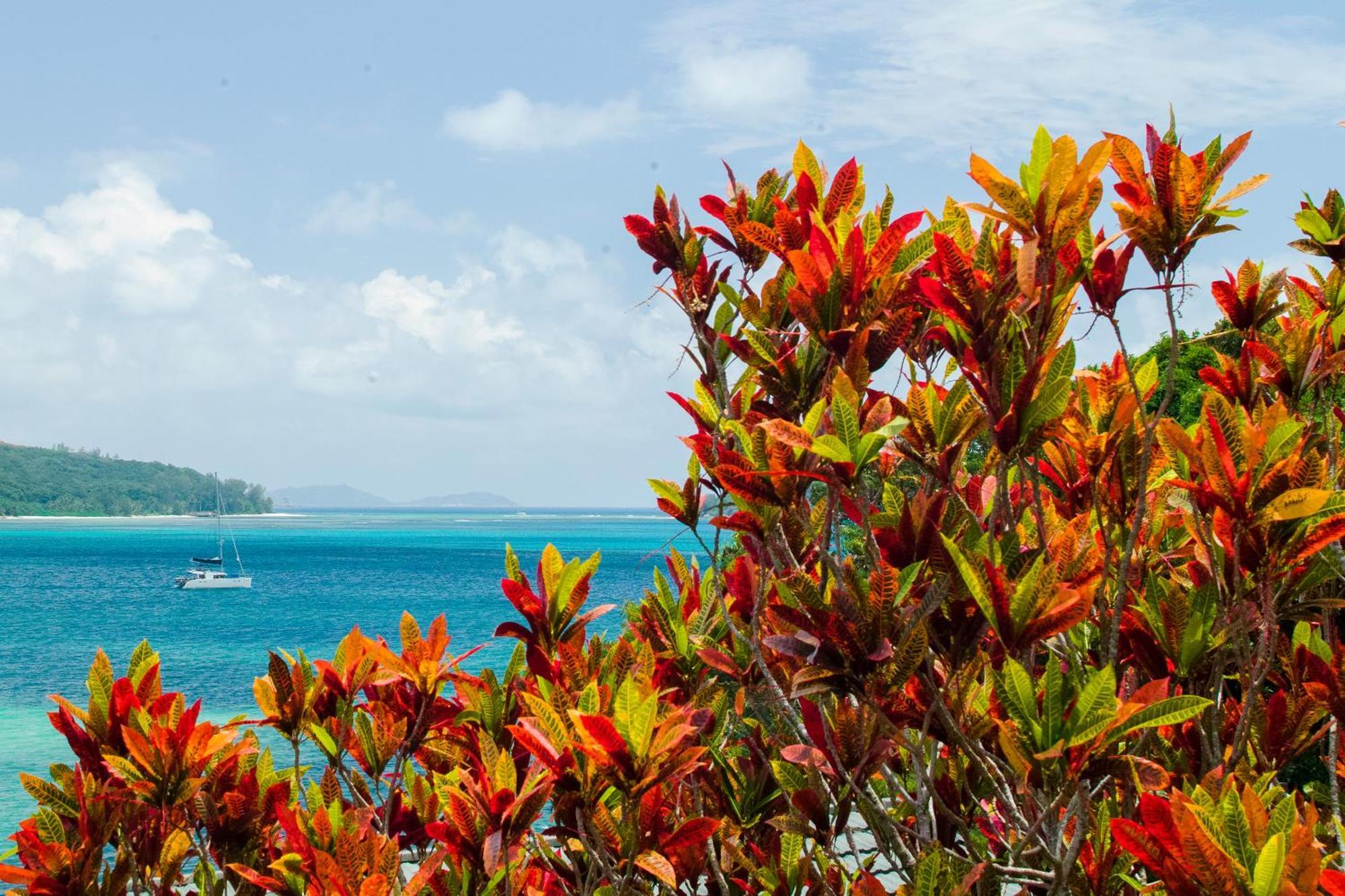 Colibri Hotel Baie Sainte Anne Bagian luar foto